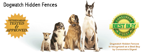 4dogs.gif