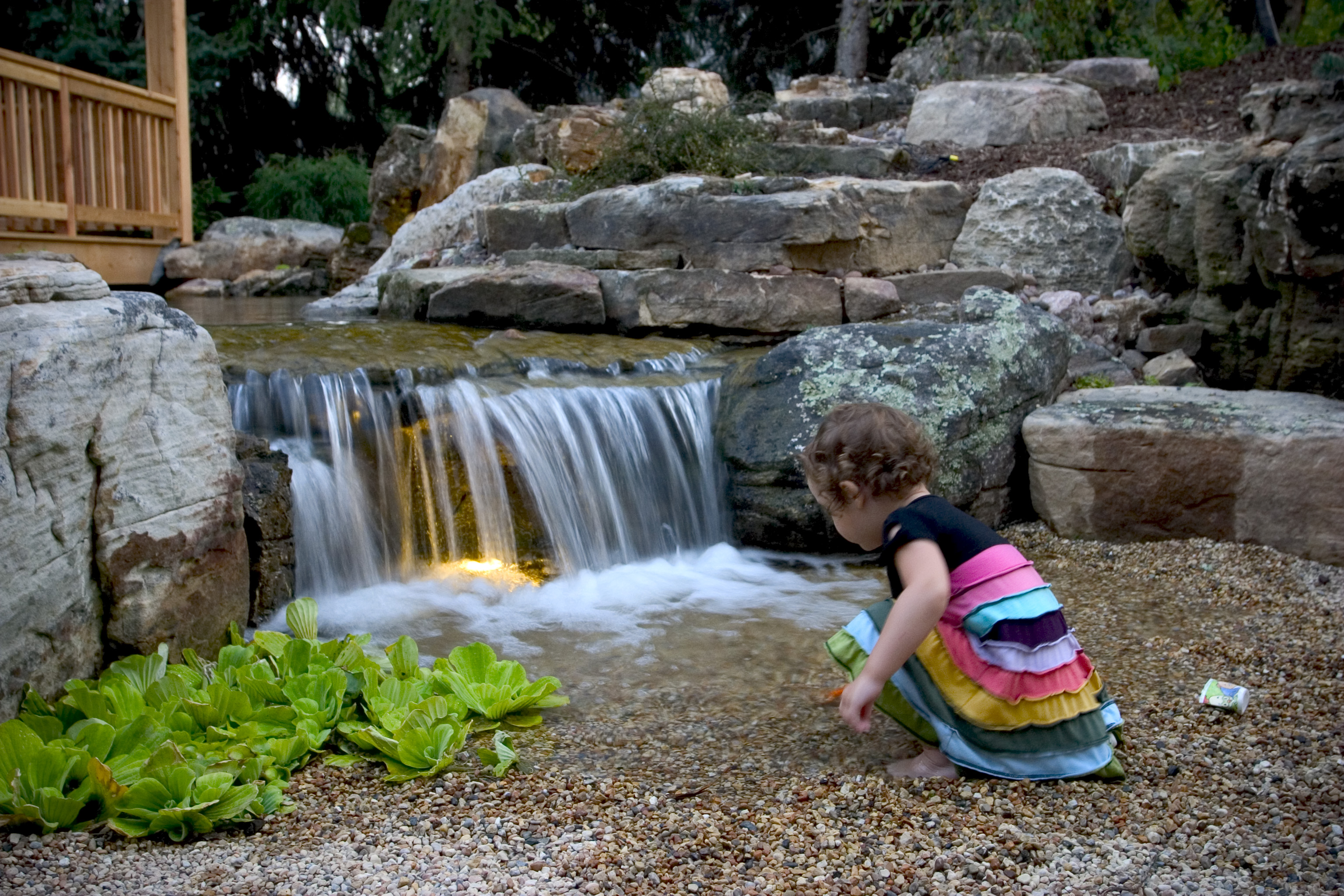 Aquascape.jpg