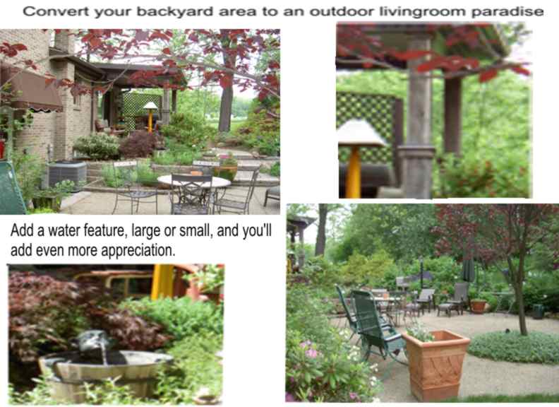 backyard-grp.jpg